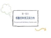 高中生物 人教版 必修一 分子与细胞 核酸是遗传信息的携带者 微课课件