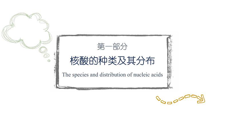 高中生物 人教版 必修一 分子与细胞 核酸是遗传信息的携带者 微课课件第5页