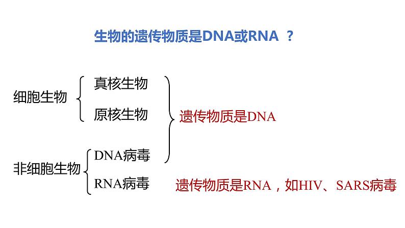 高中生物 人教版 必修一 分子与细胞 核酸是遗传信息的携带者 微课课件第7页