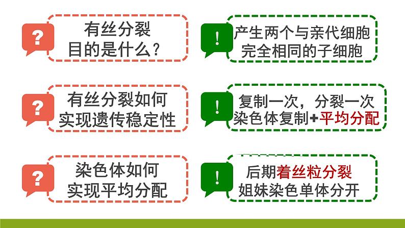 高中生物 减数分裂和受精作用 课件01