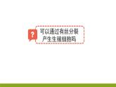 高中生物 减数分裂和受精作用 课件
