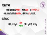 高中生物 光合作用的原理和应用 课件