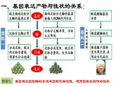 高中生物 基因表达与性状的关系 课件