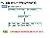 高中生物 基因表达与性状的关系 课件