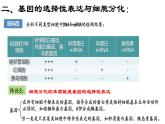 高中生物 基因表达与性状的关系 课件