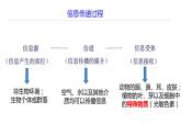 高中生物 生态系统的信息传递 课件