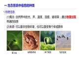 高中生物 生态系统的信息传递 课件