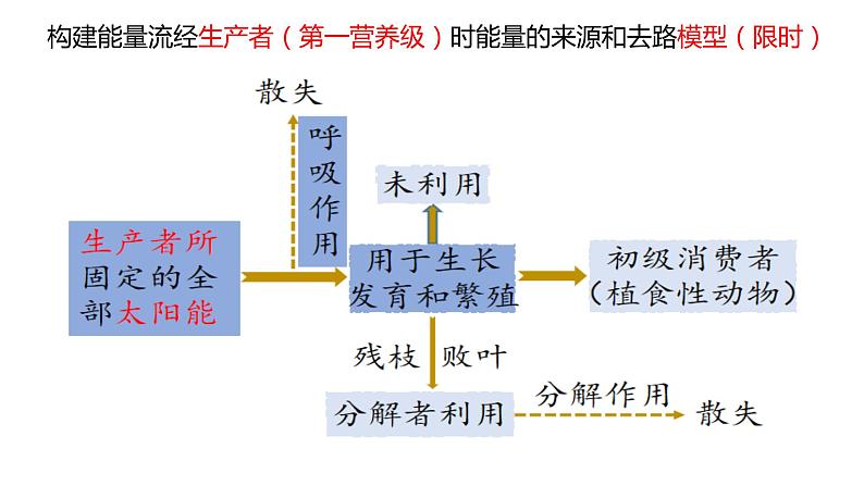 高中生物 生态系统的能量流动 （第一课时）课件07