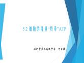 高中生物 细胞的能量“货币”ATP 课件