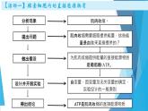 高中生物 细胞的能量“货币”ATP 课件