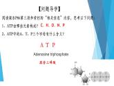 高中生物 细胞的能量“货币”ATP 课件