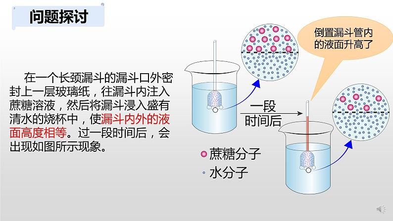 高中生物 被动运输（第1课时） 课件第3页