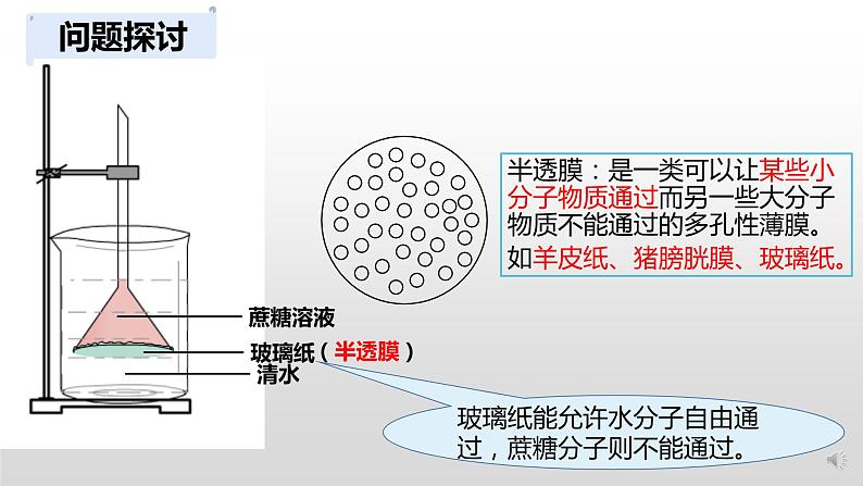 高中生物 被动运输（第1课时） 课件第4页