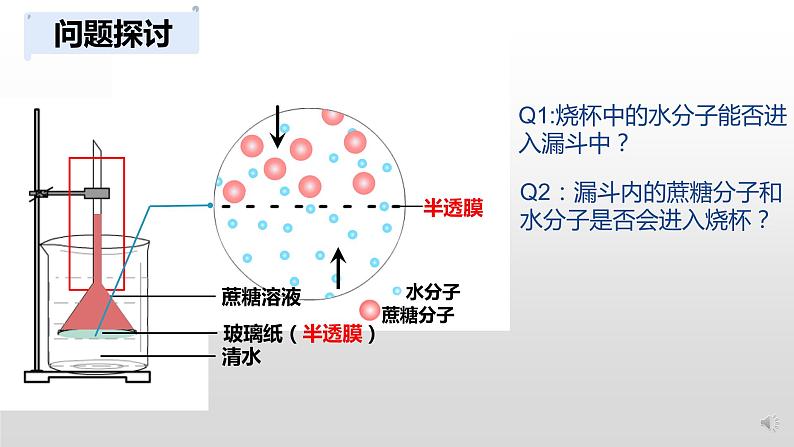 高中生物 被动运输（第1课时） 课件第5页