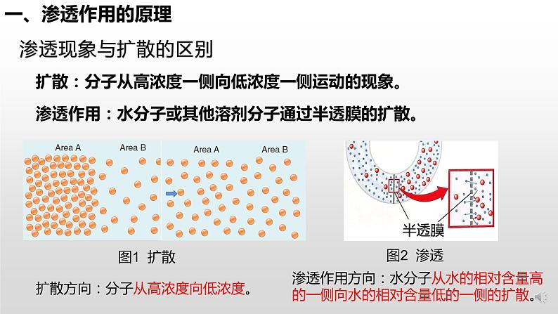 高中生物 被动运输（第1课时） 课件第7页