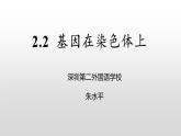 高中生物 基因在染色体上 课件