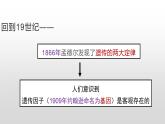 高中生物 基因在染色体上 课件
