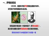 高中生物 基因在染色体上 课件