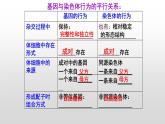 高中生物 基因在染色体上 课件