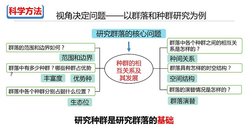 高中生物 群落的结构 （第一课时） 课件第6页