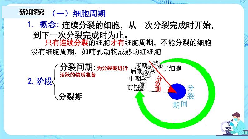 6.1《细胞的增殖》课件+教案+练习05