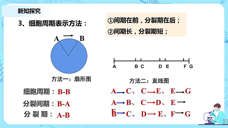 6.1《细胞的增殖》课件+教案+练习06