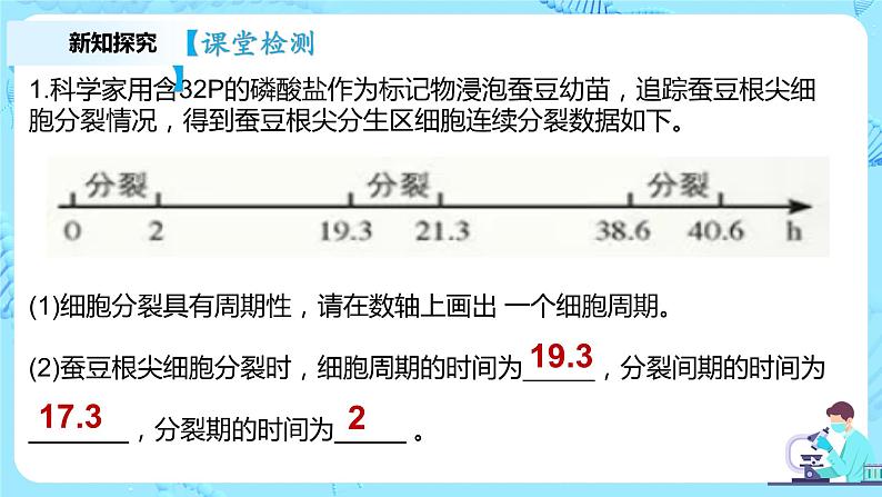 6.1《细胞的增殖》课件+教案+练习07