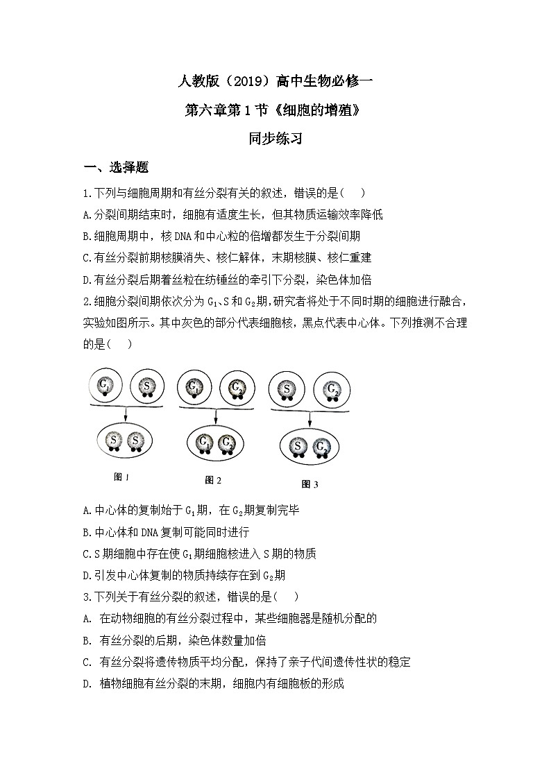 6.1《细胞的增殖》课件+教案+练习01