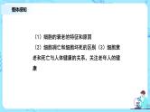 6.3《细胞的衰老和死亡》课件+教案+练习