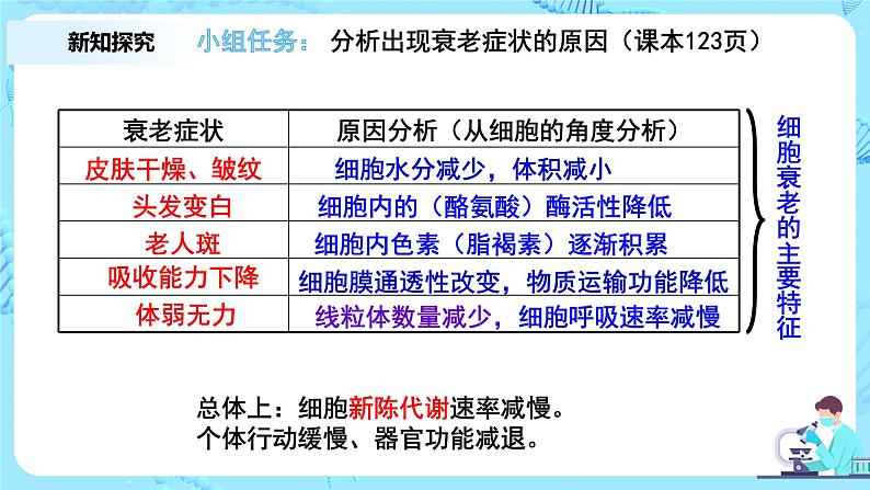 6.3《细胞的衰老和死亡》课件+教案+练习04