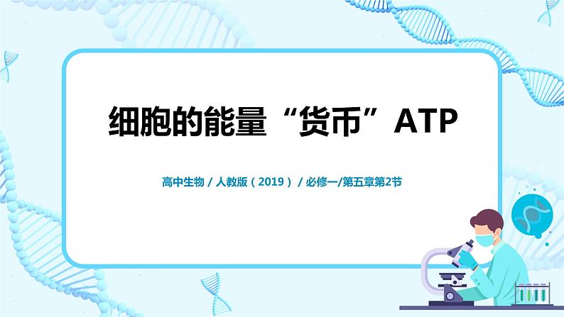 5.2《细胞的能量“货币”ATP》 教案练习课件01