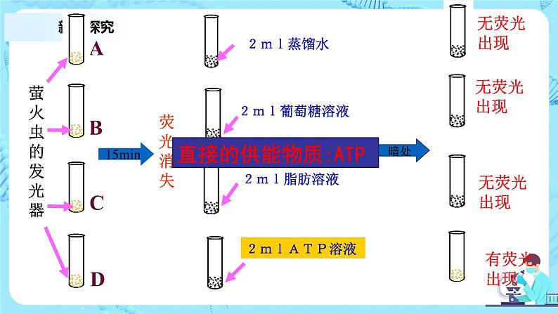 5.2《细胞的能量“货币”ATP》 教案练习课件05