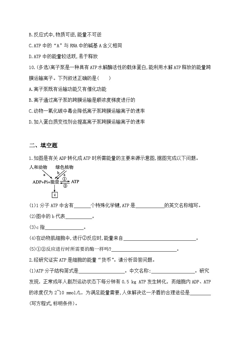5.2《细胞的能量“货币”ATP》 教案练习课件03