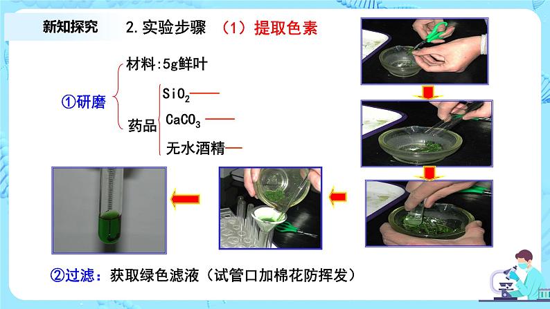 5.4《光合作用与能量转化》课件+教案+练习05