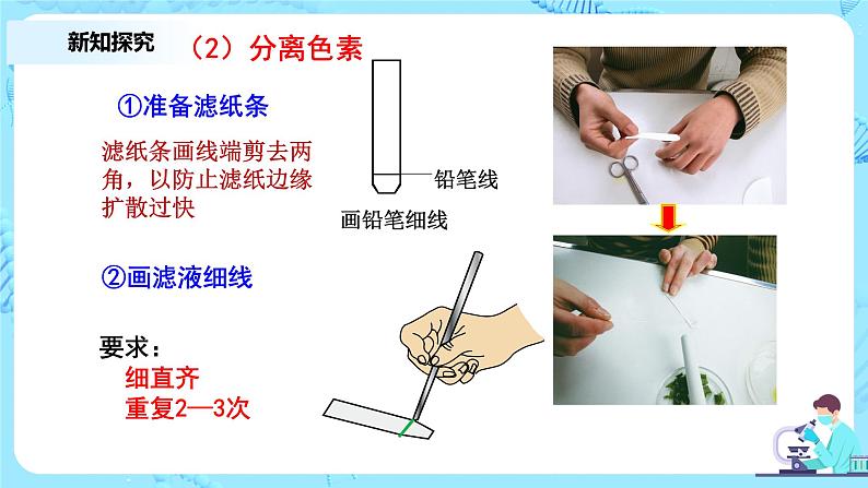 5.4《光合作用与能量转化》课件+教案+练习06