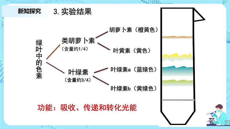 5.4《光合作用与能量转化》课件+教案+练习08