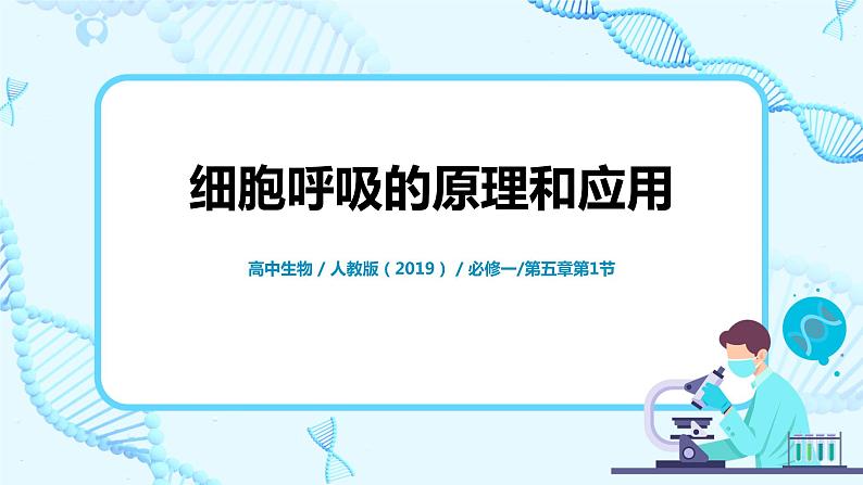 5.3《细胞呼吸的原理和应用》 教案练习课件01