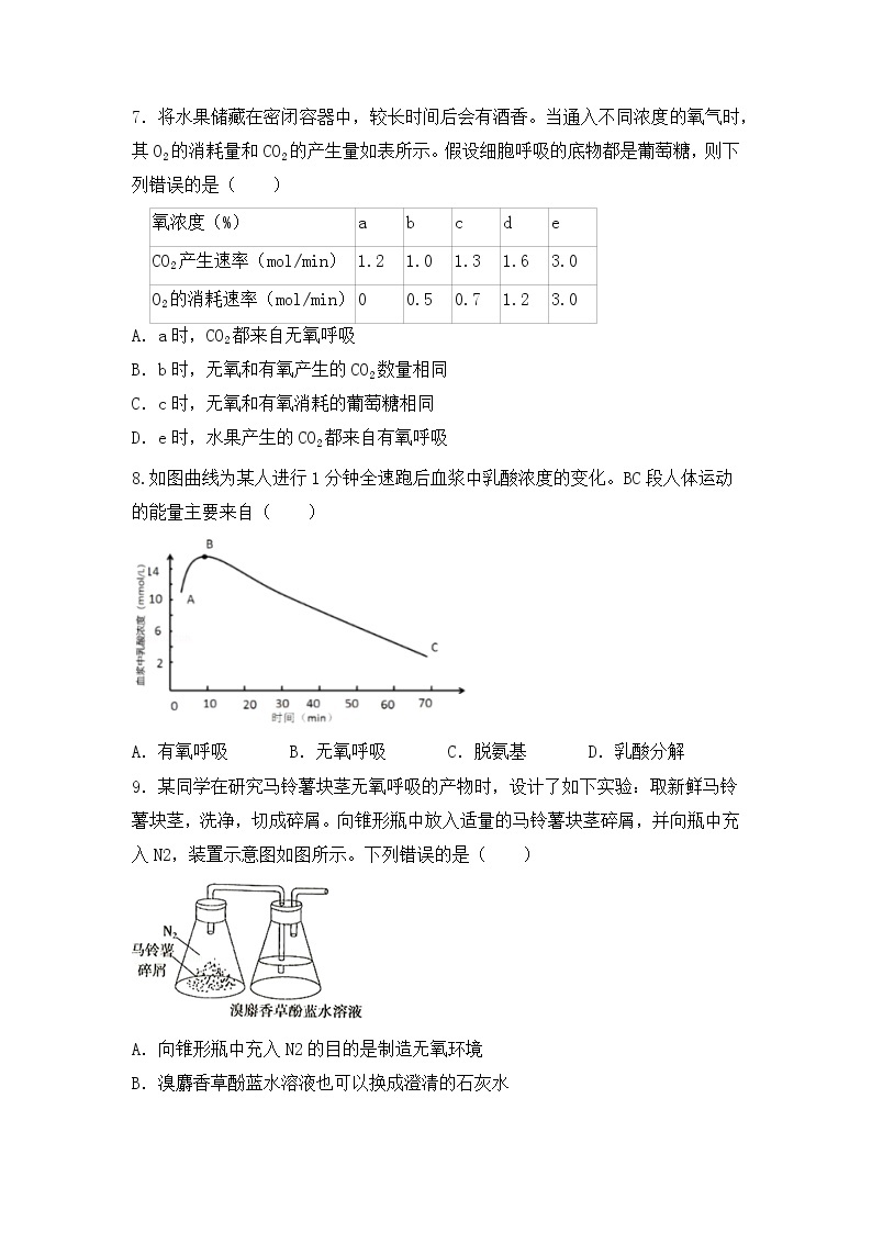 5.3《细胞呼吸的原理和应用》 教案练习课件02