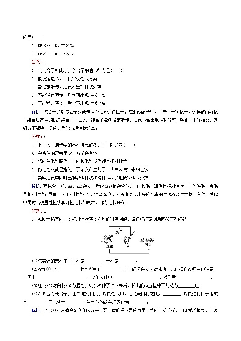 人教版高中生物必修2课后分层检测案1豌豆杂交实验过程及解释含答案第2页