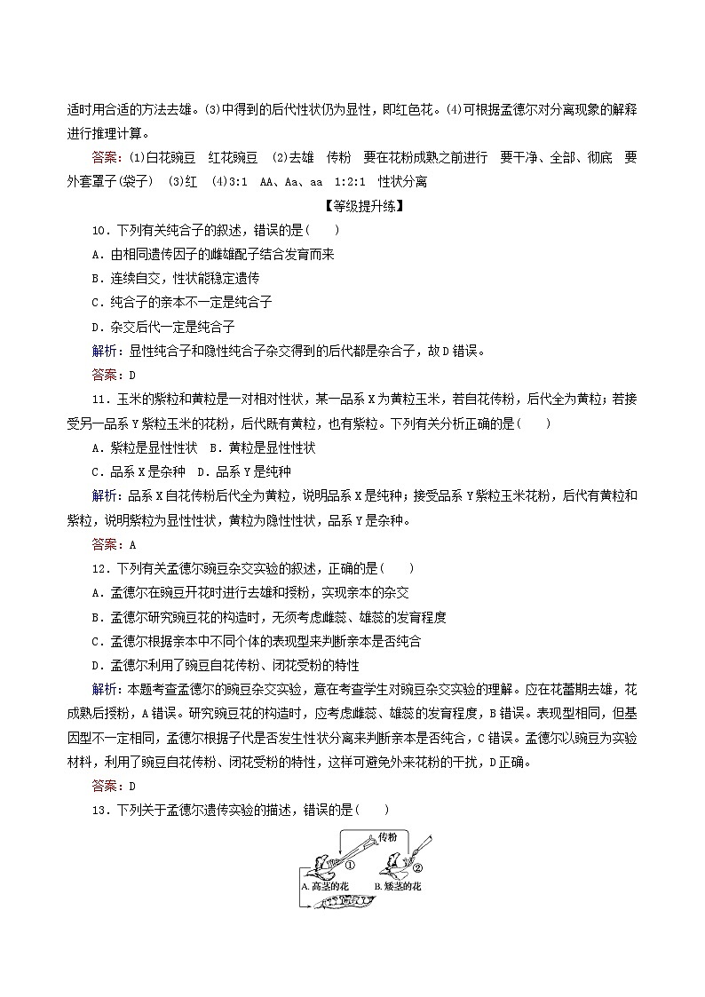 人教版高中生物必修2课后分层检测案1豌豆杂交实验过程及解释含答案第3页