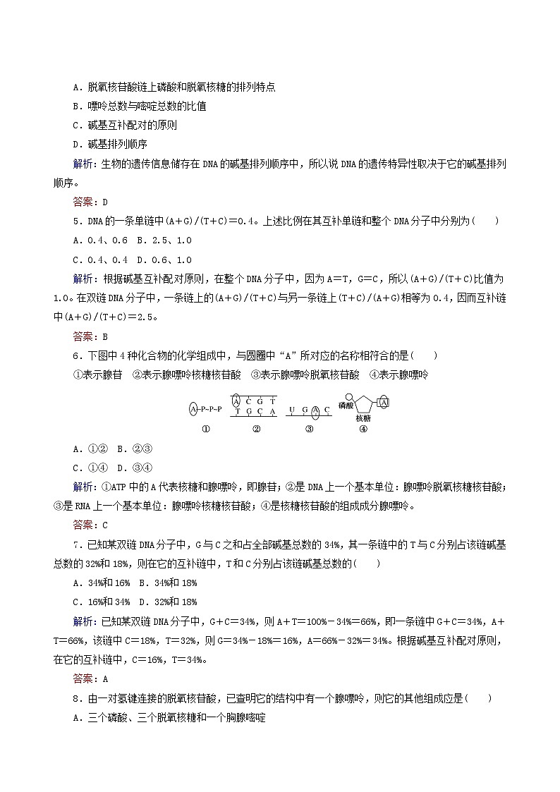 人教版高中生物必修2课后分层检测案10dna分子的结构含答案第2页