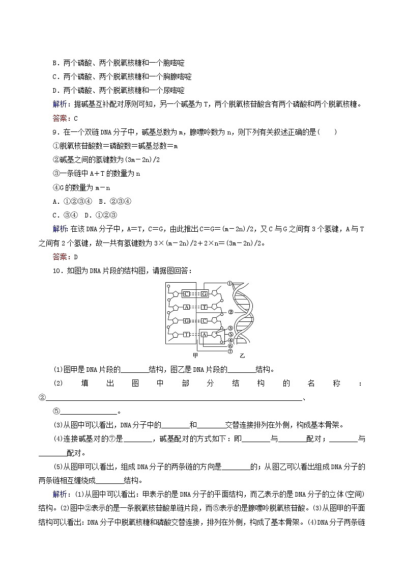 人教版高中生物必修2课后分层检测案10dna分子的结构含答案第3页