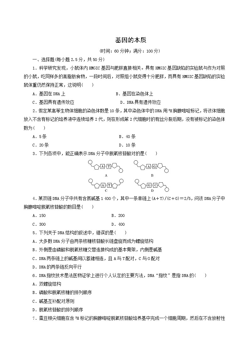人教版高中生物必修2阶段质量检测3基因的本质含答案01