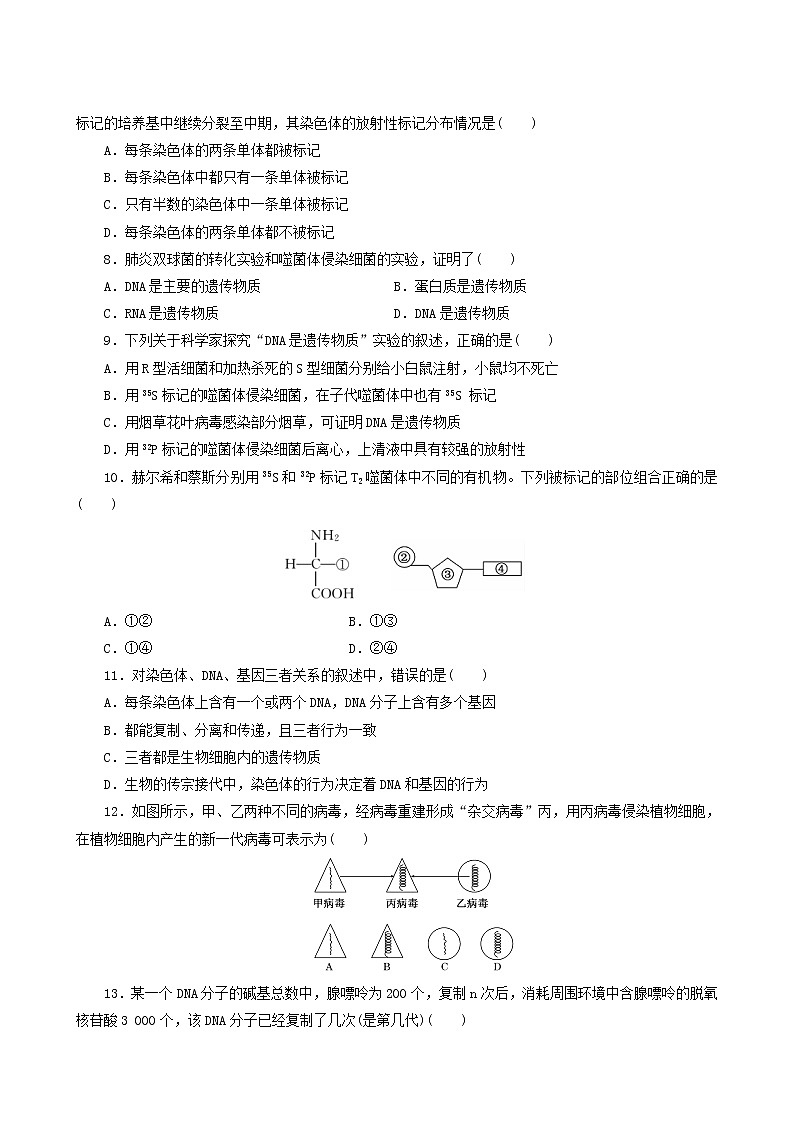 人教版高中生物必修2阶段质量检测3基因的本质含答案02