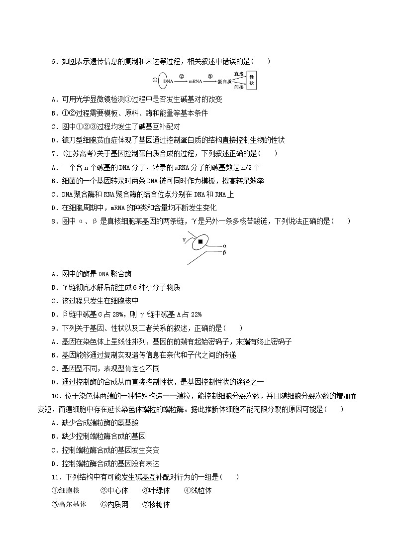 人教版高中生物必修2阶段质量检测4基因的表达含答案02