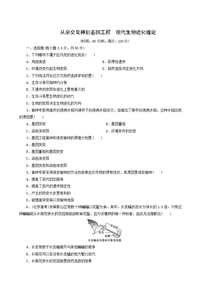 人教版高中生物必修2阶段质量检测6从杂交育种到基因工程现代生物进化理论含答案第1页