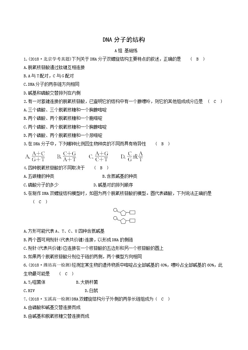 人教版高中生物必修2分层训练3.2dna分子的结构含答案第1页