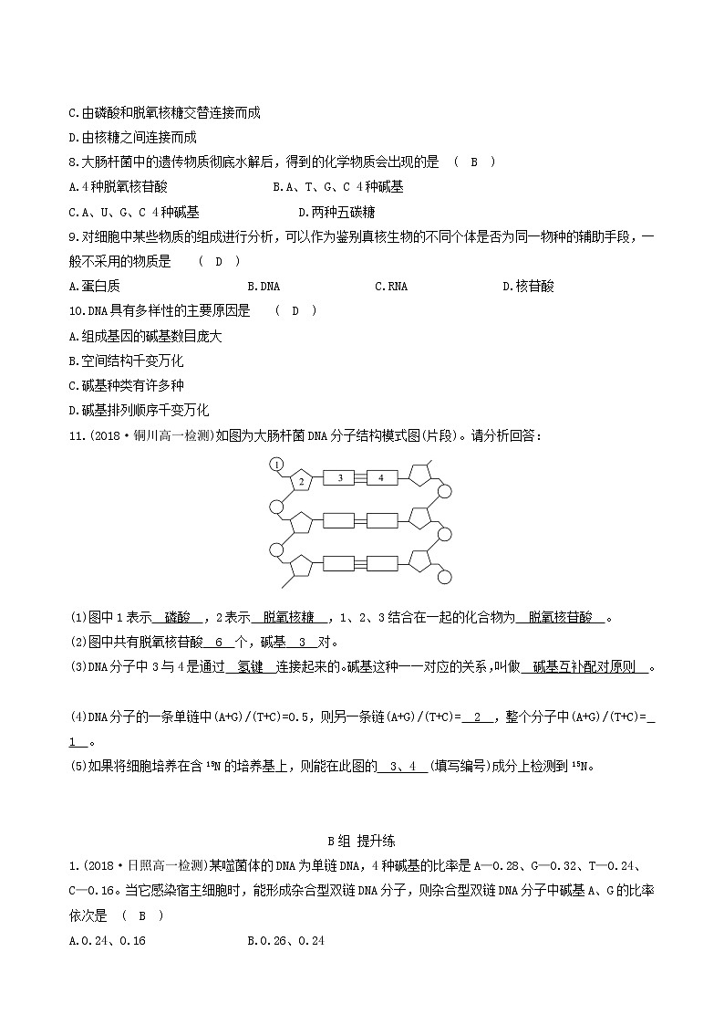 人教版高中生物必修2分层训练3.2dna分子的结构含答案第2页