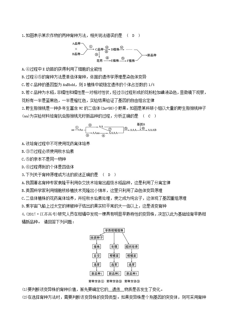 人教版高中生物必修2分层训练6.1杂交育种与诱变育种含答案02