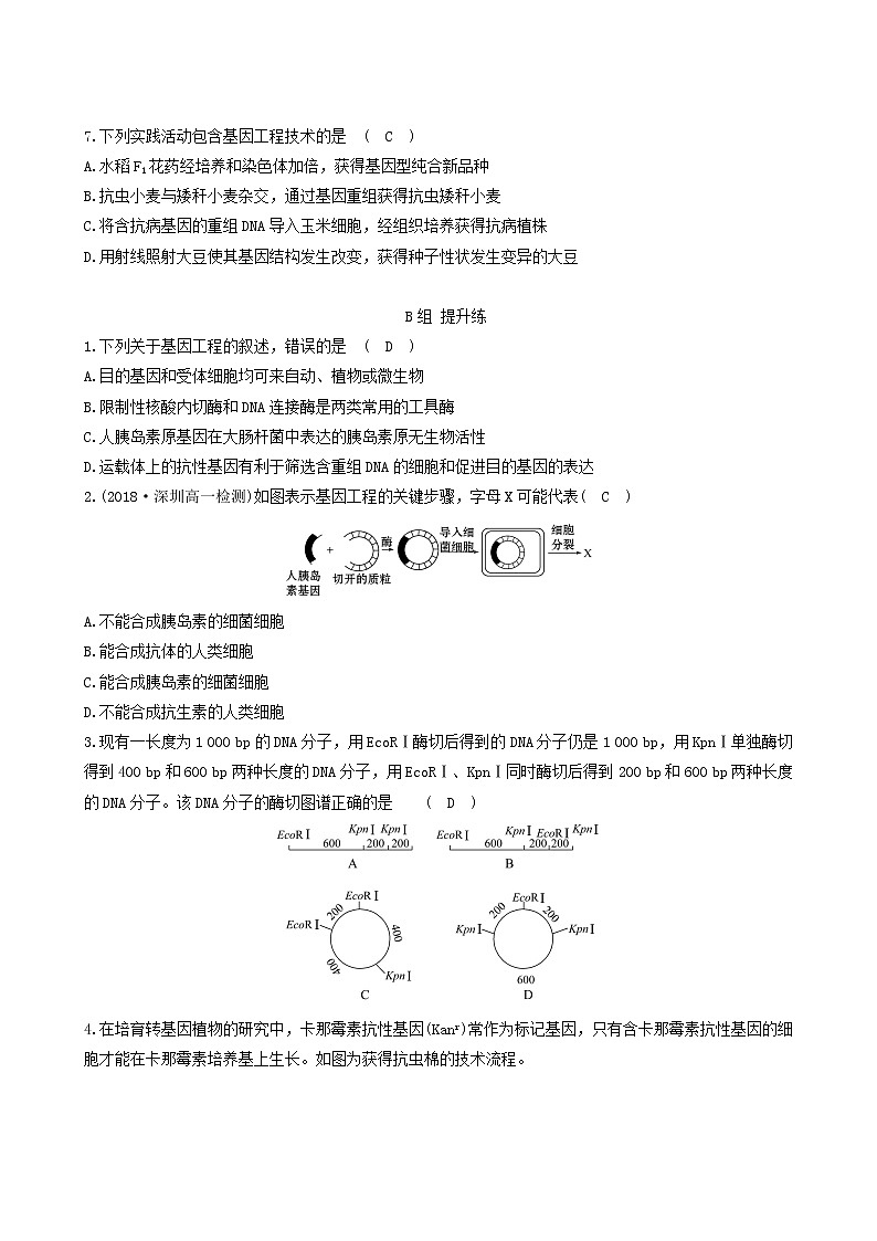 人教版高中生物必修2分层训练6.2基因工程及其应用含答案第2页